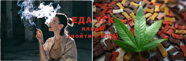 дживик Абаза