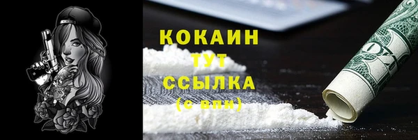 дживик Абаза