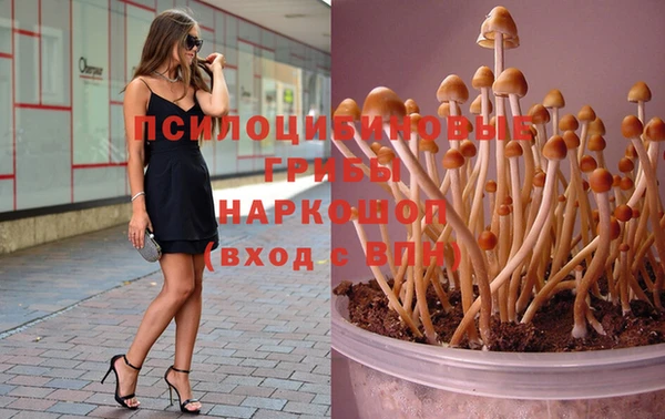 марихуана Абинск