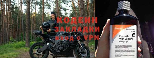 дживик Абаза