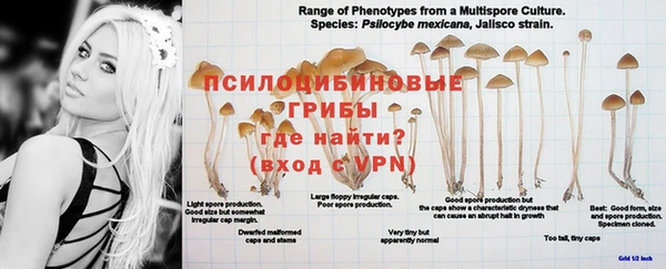 прущая мука Абдулино