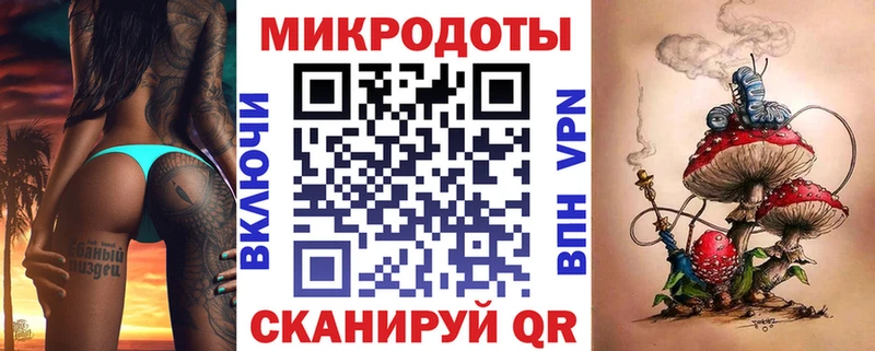 Псилоцибиновые грибы Psilocybe  наркотики  Чекалин 